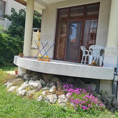 Homestay Comfortable